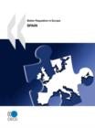 Image for Better Regulation in Europe : Spain 2010