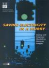 Image for Saving Electricity in a Hurry : Dealing with Temporary Shortfalls on Electricity Suppliers