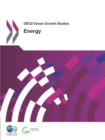 Image for OECD Green Growth Studies: Energy