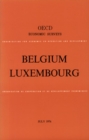 Image for OECD Economic Surveys: Belgium 1976