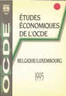 Image for Etudes economiques de l&#39;OCDE : Belgique 1995