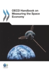 Image for OECD Handbook On Measuring The Space Economy