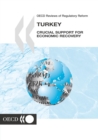 Image for Turkey: Crucial Support for Economic Recovery.