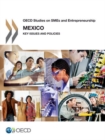 Image for Mexico : key issues and policies