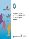 Image for OECD Guidelines For Micro Statistics On Household Wealth