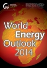 Image for World energy outlook 2014