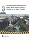 Image for Seine Basin, Ole-de-France, 2014: resilience to major floods