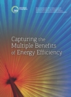 Image for Capturing the multiple benefits of energy efficiency