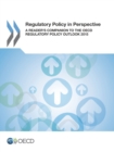 Image for Regulatory policy in perspective: a reader&#39;s companion to the OECD regulatory policy outlook 2015