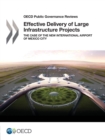 Image for Effective delivery of large infrastructure projects : the case of the new international airport of Mexico City