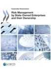 Image for Risk Management by State-Owned Enterprises and their Ownership