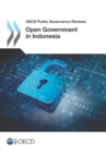 Image for Open Government in Indonesia