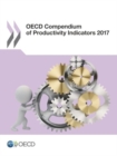 Image for OECD compendium of productivity indicators 2017