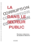 Image for La Corruption Dans Le Secteur Public: Panorama International Des Mesures De Pr?vention.