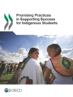 Image for Promising practices in supporting success for indigenous students