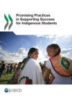 Image for Promising Practices in Supporting Success for Indigenous Students