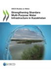 Image for Strengthening Shardara multi-purpose water infrastructure in Kazakhstan