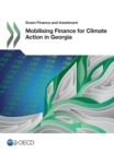Image for OECD Green finance and investment. Mobilising finance for climate action in Georgia.