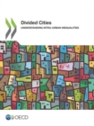 Image for Divided cities : understanding intra-urban inequalities