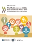 Image for SME Policy Index The Mediterranean Middle East and North Africa 2018 Interim Assessment of Key SME Reforms