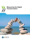 Image for Measuring the digital transformation : a roadmap for the future