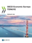 Image for OECD Economic Surveys: Turkiye 2023