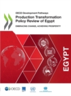 Image for Production transformation policy review of Egypt