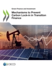 Image for Green Finance and Investment Mechanisms to Prevent Carbon Lock-in in Transition Finance
