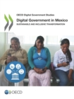Image for OECD Digital Government Studies Digital Government in Mexico Sustainable and Inclusive Transformation