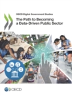 Image for Oecd Digital Government Studies the Path to Becoming a Data-driven Public Sector.