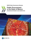 Image for Public procurement in the state of Mexico