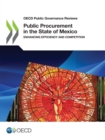 Image for OECD Public Governance Reviews Public Procurement in the State of Mexico Enhancing Efficiency and Competition