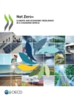 Image for Net Zero+ Climate and Economic Resilience in a Changing World