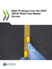 Image for Main Findings from the 2022 OECD Risks that Matter Survey
