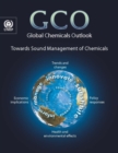 Image for Global chemicals outlook : towards sound management of chemicals