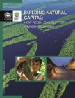 Image for Building natural capital