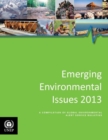 Image for Emerging environmental issues 2013