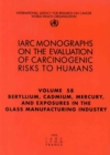 Image for Beryllium, cadmium, mercury and exposures in the glass manufacturing industry
