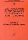Image for Man-made Vitreous Fibres : Iarc Monograph on the Carcinogenic Risks to Humans