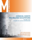 Image for A Review of Human Carcinogens. F. Chemical Agents and Related Occupations