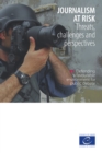 Image for Journalism at risk: Threats, challenges and perspectives
