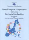 Image for Trans-European Cooperation Between Territorial Authorities : New Challenges and Future Steps Necessary to Improve Cooperation