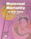 Image for Maternal Mortality in Vietnam
