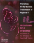 Image for Preventing Mother-to-child Transmission of Hepatitis B