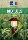 Image for Status and Potential for the Development of Biofuels and Rural Renewable Energy: Cambodia.