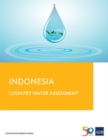 Image for Indonesia Country Water Assessment