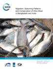 Image for Migration, Spawning Patterns and Conservation of Hilsa Shad in Bangladesh and India