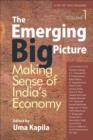 Image for The Emerging Big Picture : Making Sense of India&#39;s Economy