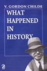 Image for What Happened in History?