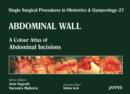 Image for Single Surgical Procedures in Obstetrics and Gynaecology - Volume 27 - Abdominal Wall : A Colour Atlas of Abdominal Incisions